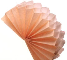 CrystalPleat Shades Picture